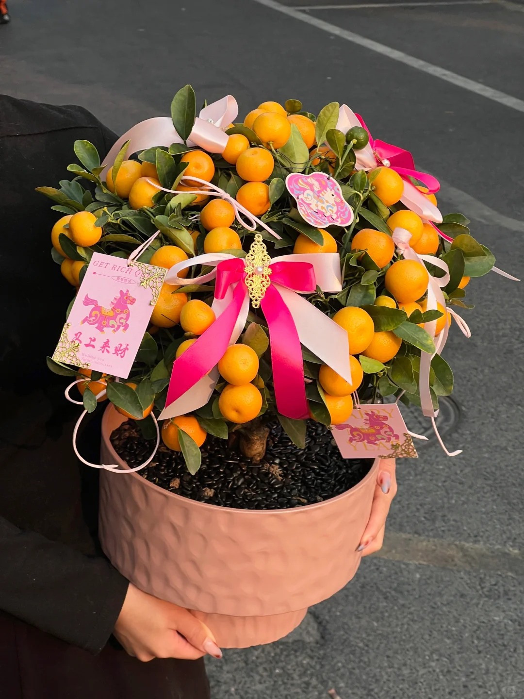 Chưa rinh chậu quất này coi như Tết vơi đi một nửa: Nhỏ thôi nhưng "gánh" trọn không khí xuân trong nhà- Ảnh 39.