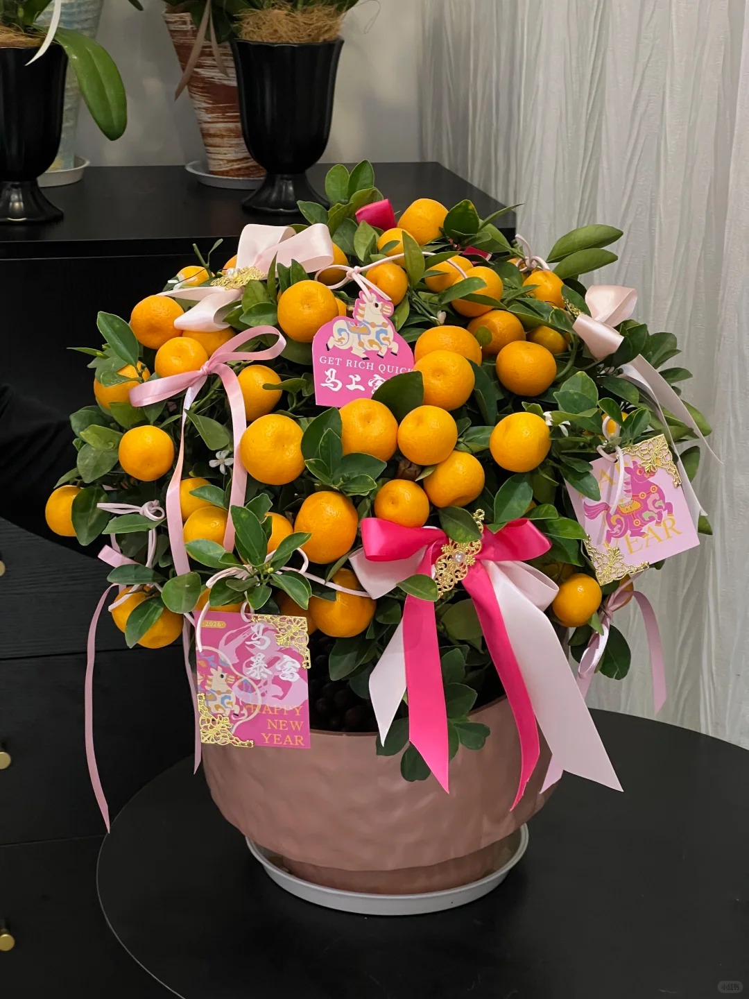 Chưa rinh chậu quất này coi như Tết vơi đi một nửa: Nhỏ thôi nhưng "gánh" trọn không khí xuân trong nhà- Ảnh 40.