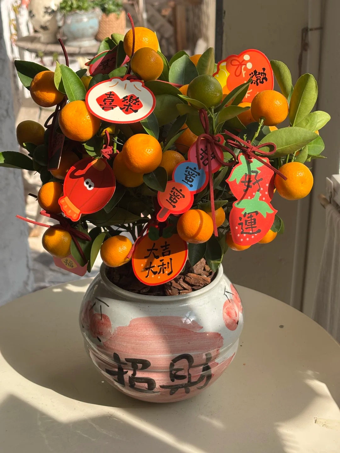 Chưa rinh chậu quất này coi như Tết vơi đi một nửa: Nhỏ thôi nhưng "gánh" trọn không khí xuân trong nhà- Ảnh 22.