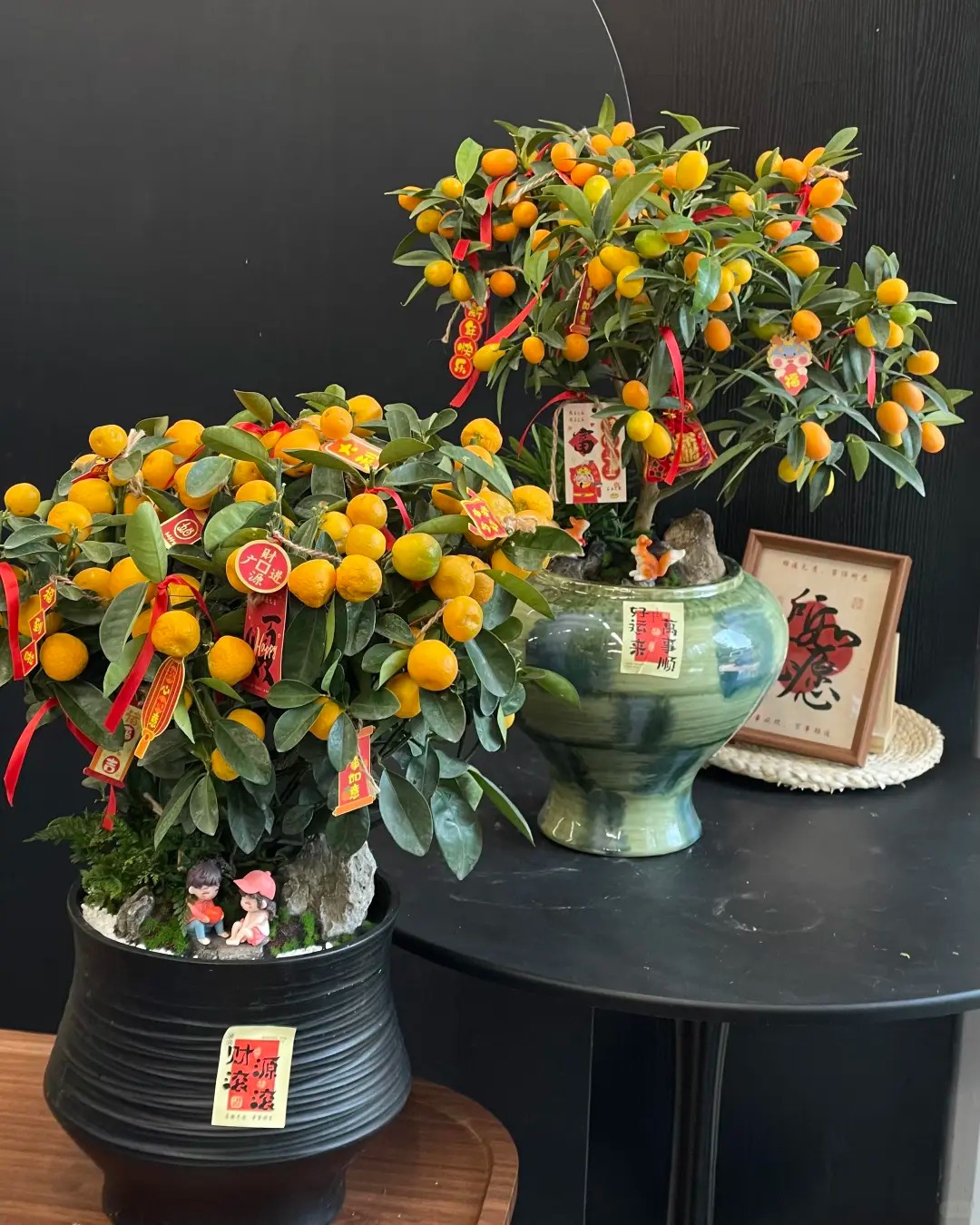 Chưa rinh chậu quất này coi như Tết vơi đi một nửa: Nhỏ thôi nhưng "gánh" trọn không khí xuân trong nhà- Ảnh 20.