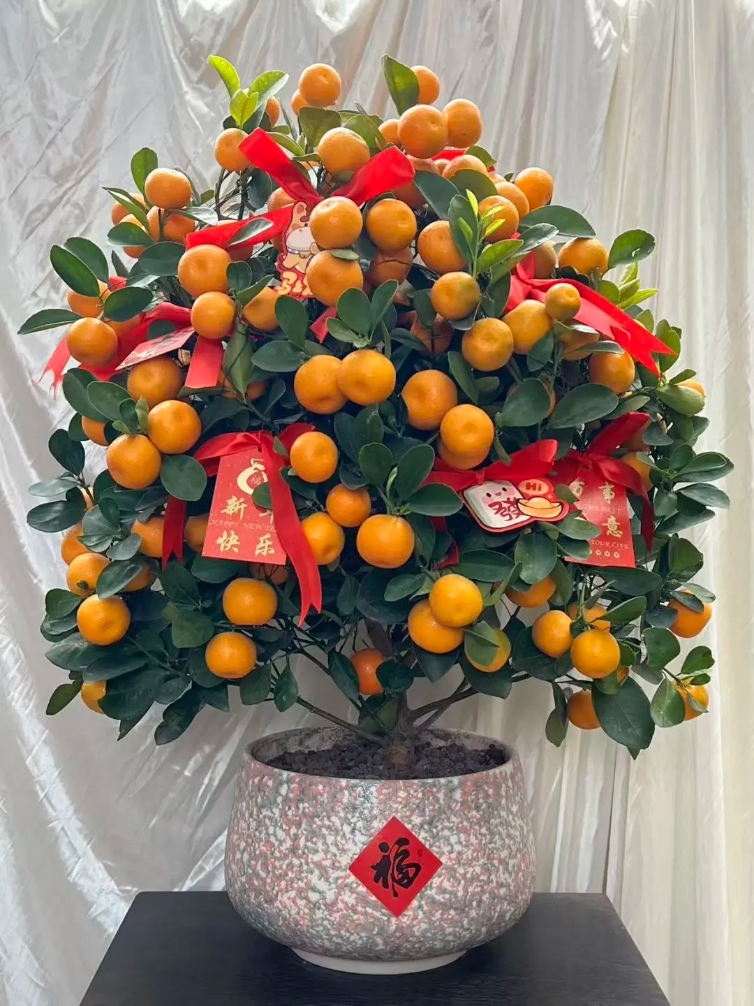 Chưa rinh chậu quất này coi như Tết vơi đi một nửa: Nhỏ thôi nhưng "gánh" trọn không khí xuân trong nhà- Ảnh 16.
