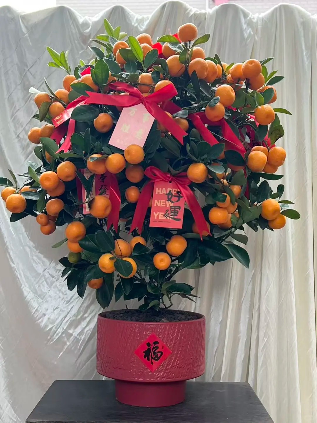 Chưa rinh chậu quất này coi như Tết vơi đi một nửa: Nhỏ thôi nhưng "gánh" trọn không khí xuân trong nhà- Ảnh 24.