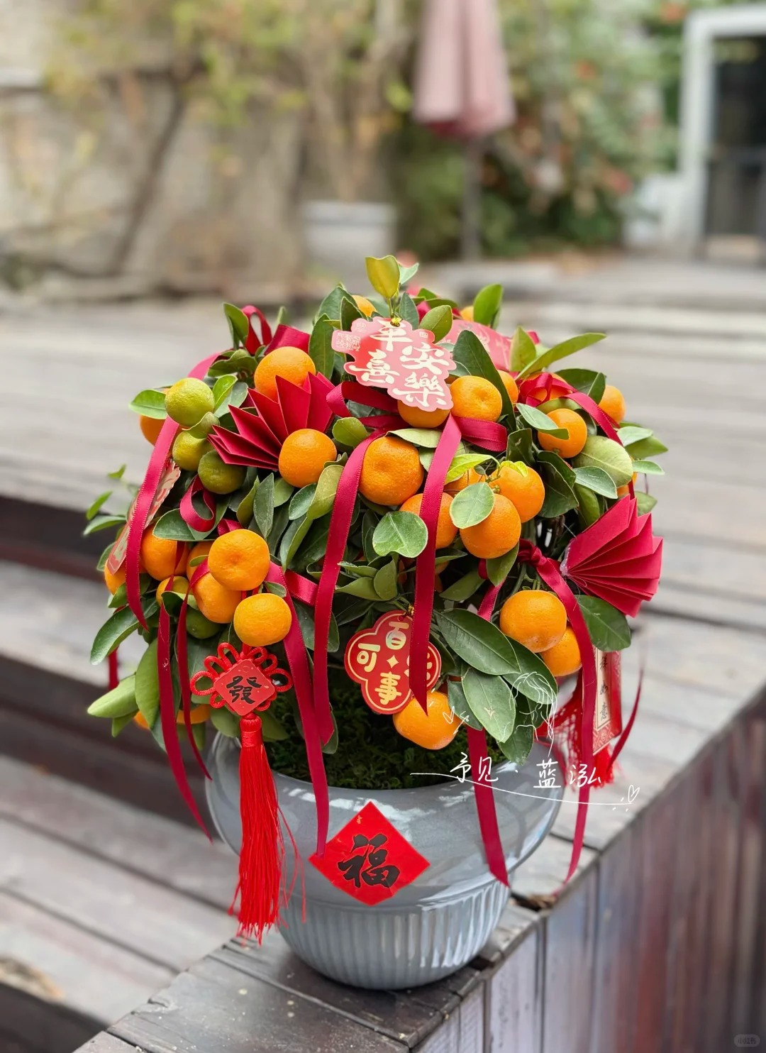 Chưa rinh chậu quất này coi như Tết vơi đi một nửa: Nhỏ thôi nhưng "gánh" trọn không khí xuân trong nhà- Ảnh 21.