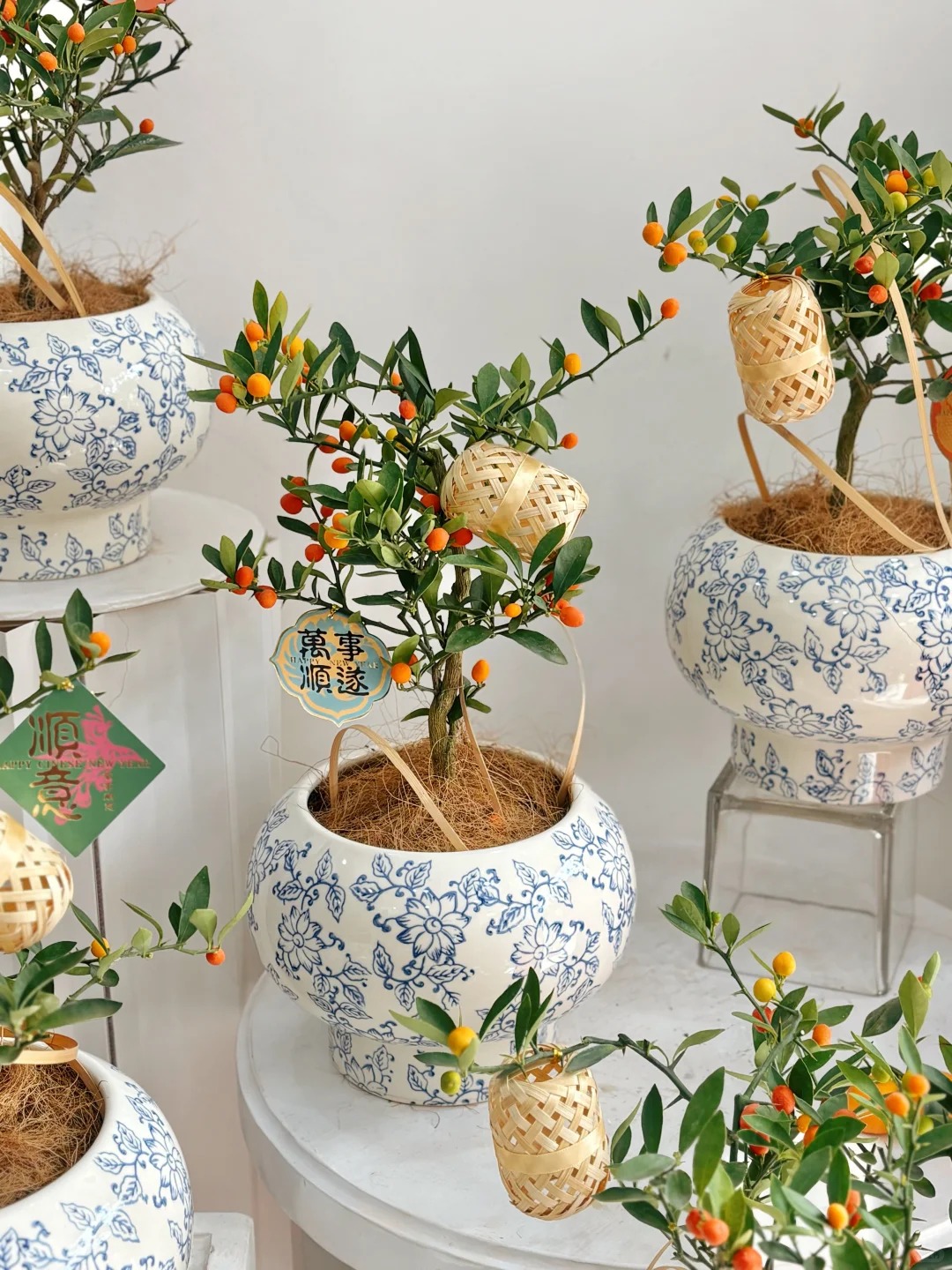 Chưa rinh chậu quất này coi như Tết vơi đi một nửa: Nhỏ thôi nhưng "gánh" trọn không khí xuân trong nhà- Ảnh 32.