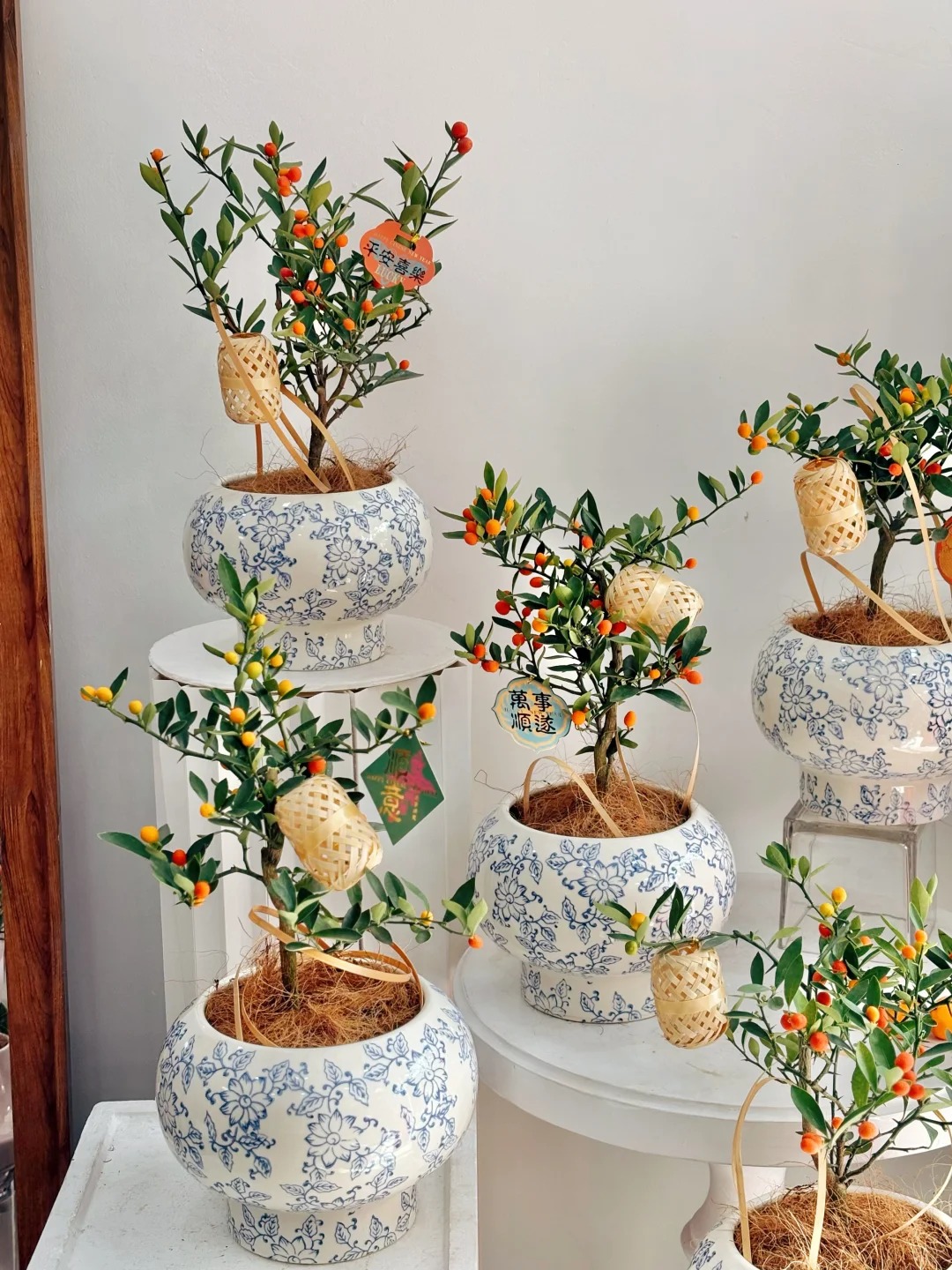 Chưa rinh chậu quất này coi như Tết vơi đi một nửa: Nhỏ thôi nhưng "gánh" trọn không khí xuân trong nhà- Ảnh 33.