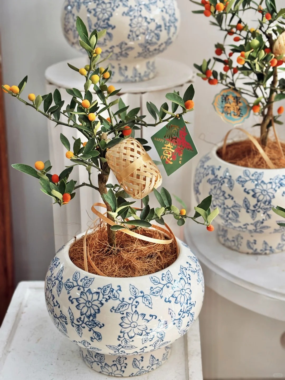 Chưa rinh chậu quất này coi như Tết vơi đi một nửa: Nhỏ thôi nhưng "gánh" trọn không khí xuân trong nhà- Ảnh 34.