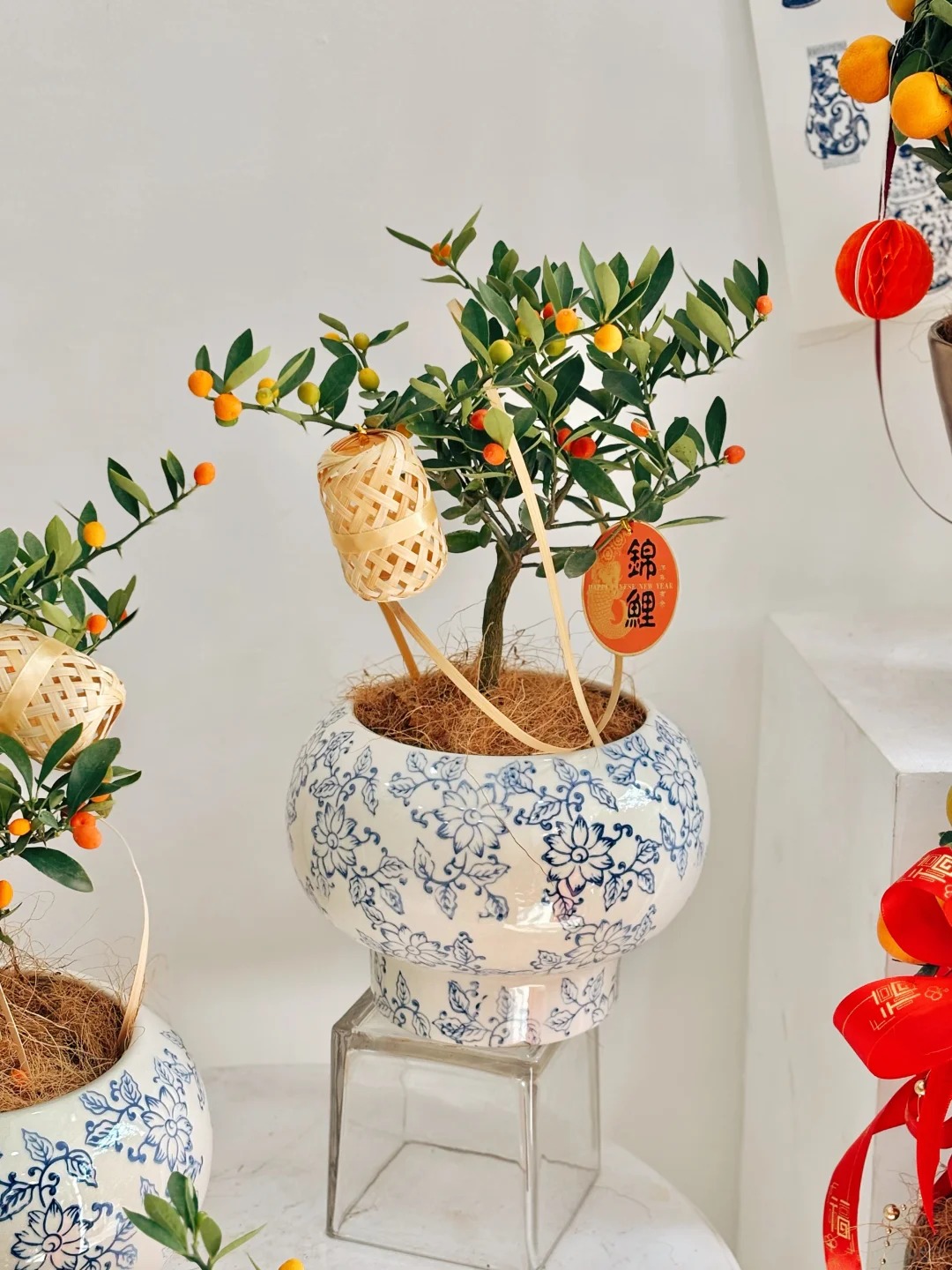 Chưa rinh chậu quất này coi như Tết vơi đi một nửa: Nhỏ thôi nhưng "gánh" trọn không khí xuân trong nhà- Ảnh 35.