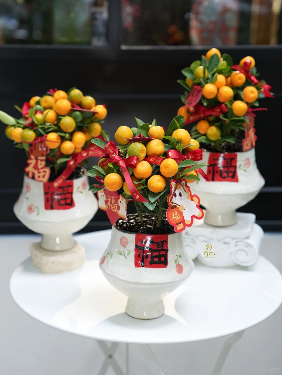 Chưa rinh chậu quất này coi như Tết vơi đi một nửa: Nhỏ thôi nhưng "gánh" trọn không khí xuân trong nhà- Ảnh 44.