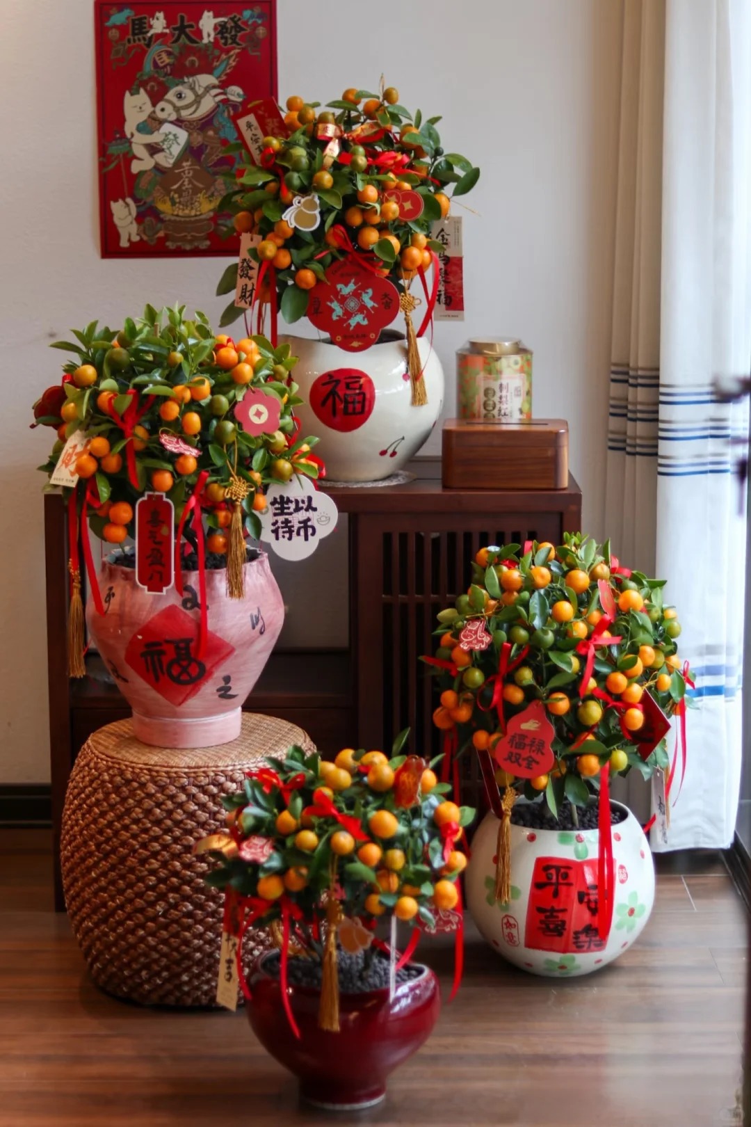 Chưa rinh chậu quất này coi như Tết vơi đi một nửa: Nhỏ thôi nhưng "gánh" trọn không khí xuân trong nhà- Ảnh 29.