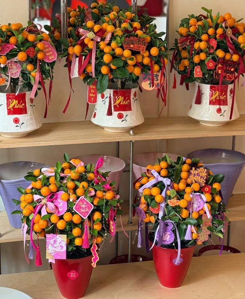 Chưa rinh chậu quất này coi như Tết vơi đi một nửa: Nhỏ thôi nhưng "gánh" trọn không khí xuân trong nhà- Ảnh 13.