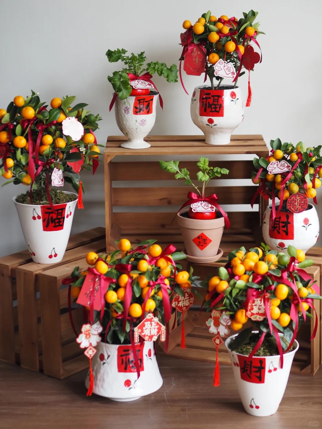 Chưa rinh chậu quất này coi như Tết vơi đi một nửa: Nhỏ thôi nhưng "gánh" trọn không khí xuân trong nhà- Ảnh 26.