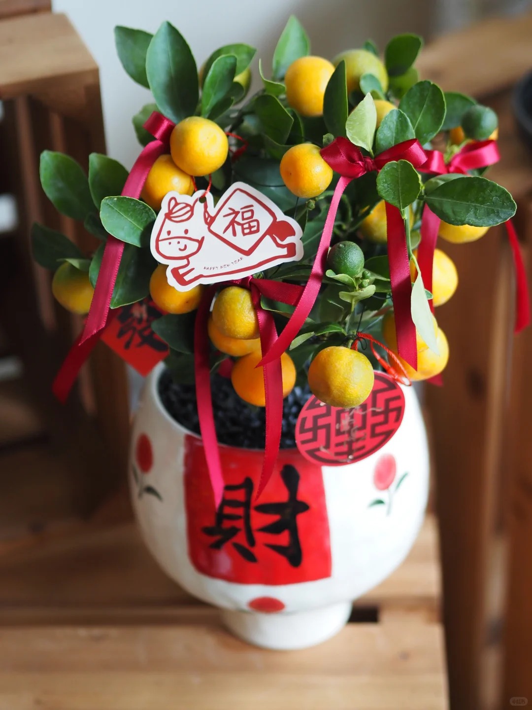 Chưa rinh chậu quất này coi như Tết vơi đi một nửa: Nhỏ thôi nhưng "gánh" trọn không khí xuân trong nhà- Ảnh 28.