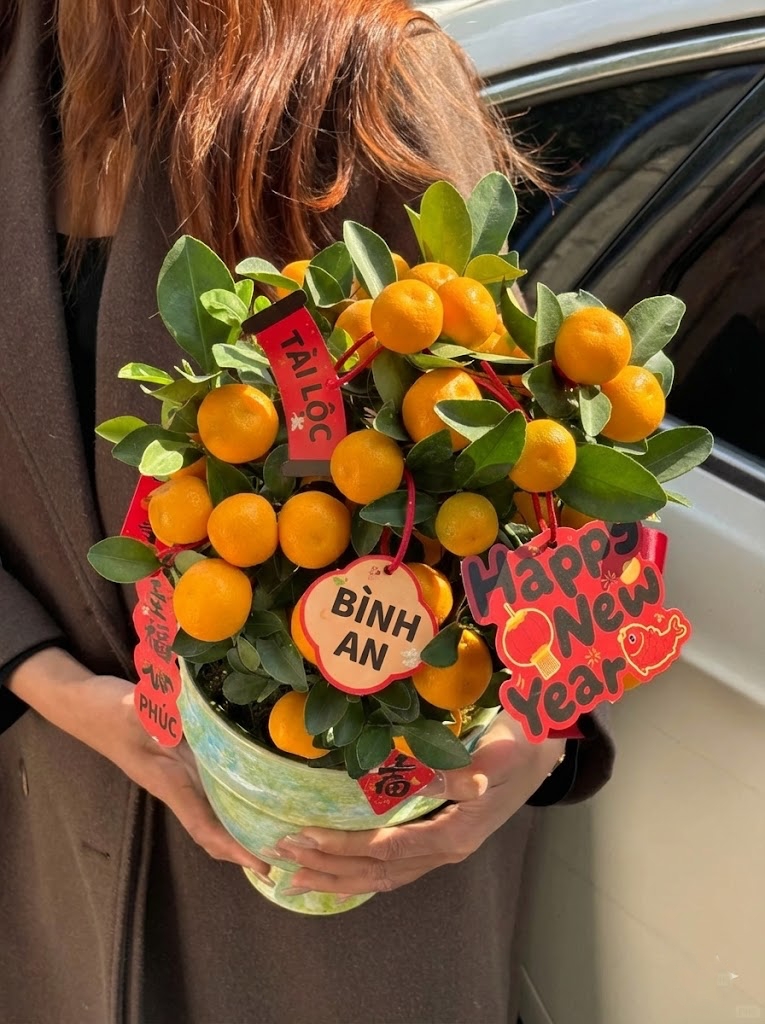 Chưa rinh chậu quất này coi như Tết vơi đi một nửa: Nhỏ thôi nhưng "gánh" trọn không khí xuân trong nhà- Ảnh 5.