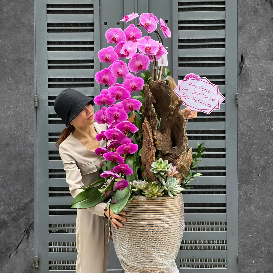 Tự nhiên Tết năm nay, người ta lại thi nhau mua một loại hoa có cái tên cực mỹ miều đi biếu tặng, vừa có gu vừa tinh tế- Ảnh 20.