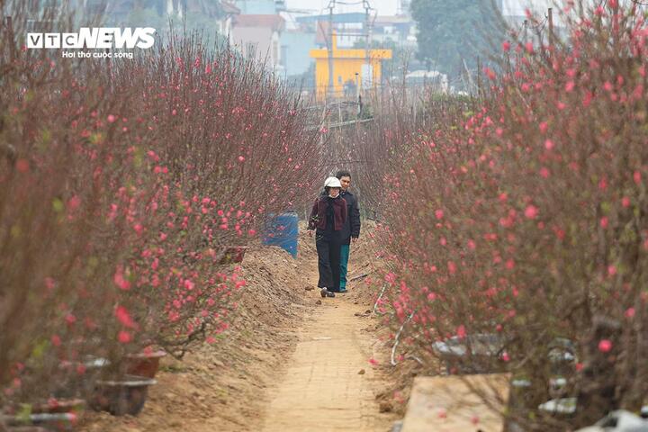 Dự báo thời tiết ngày 27 Tết: Người dân cần chú ý điều gì?- Ảnh 1.