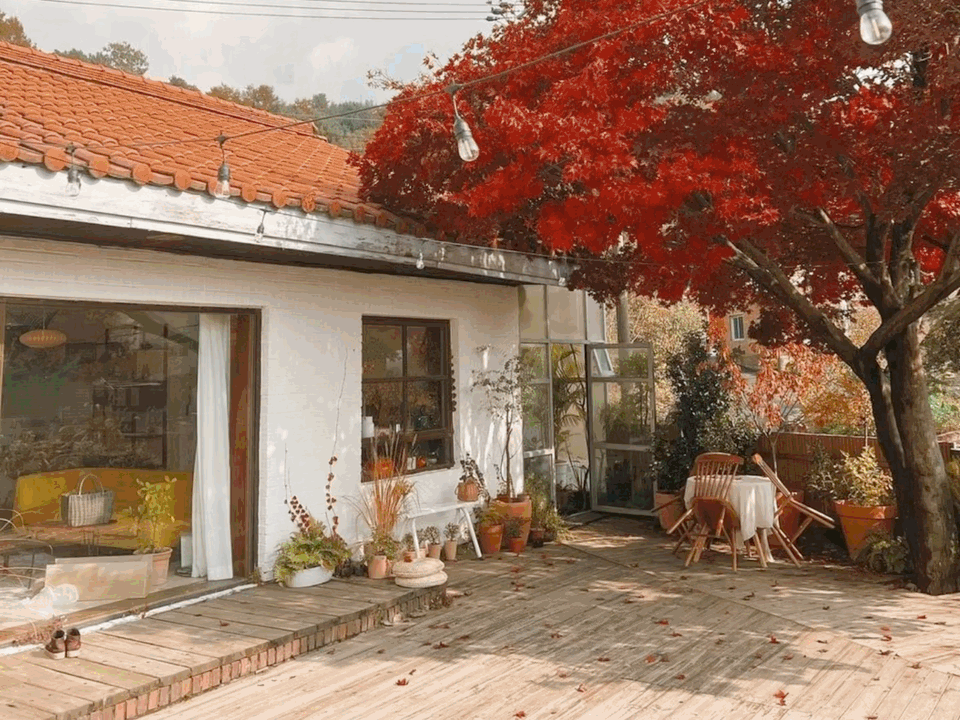 Bỏ phố về quê cải tạo nhà 30 năm tuổi: Mẹ hai con biến căn nhà cũ thành biệt thự nghỉ dưỡng, ai nhìn cũng muốn chuyển đến ở- Ảnh 1.