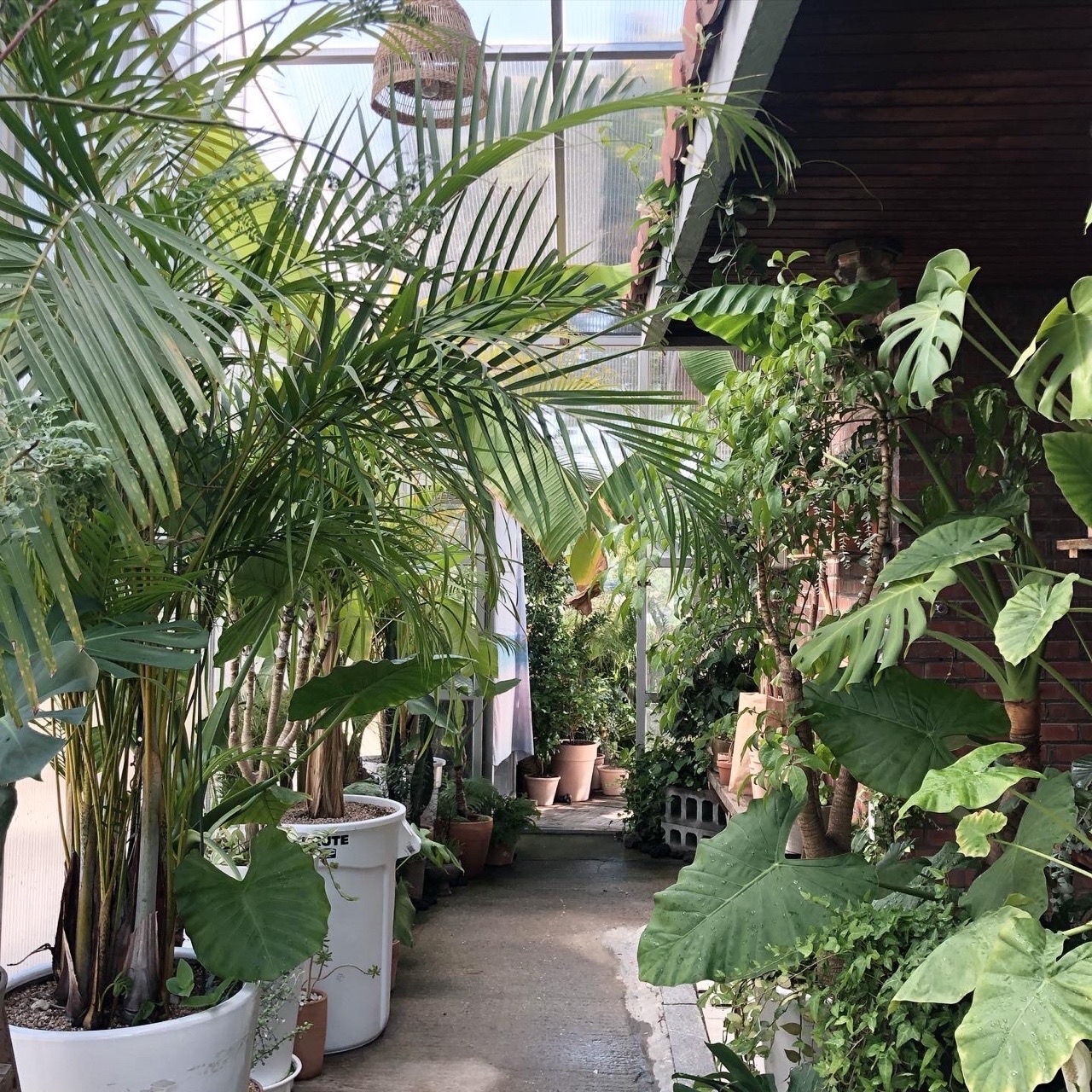 Bỏ phố về quê cải tạo nhà 30 năm tuổi: Mẹ hai con biến căn nhà cũ thành biệt thự nghỉ dưỡng, ai nhìn cũng muốn chuyển đến ở- Ảnh 22.