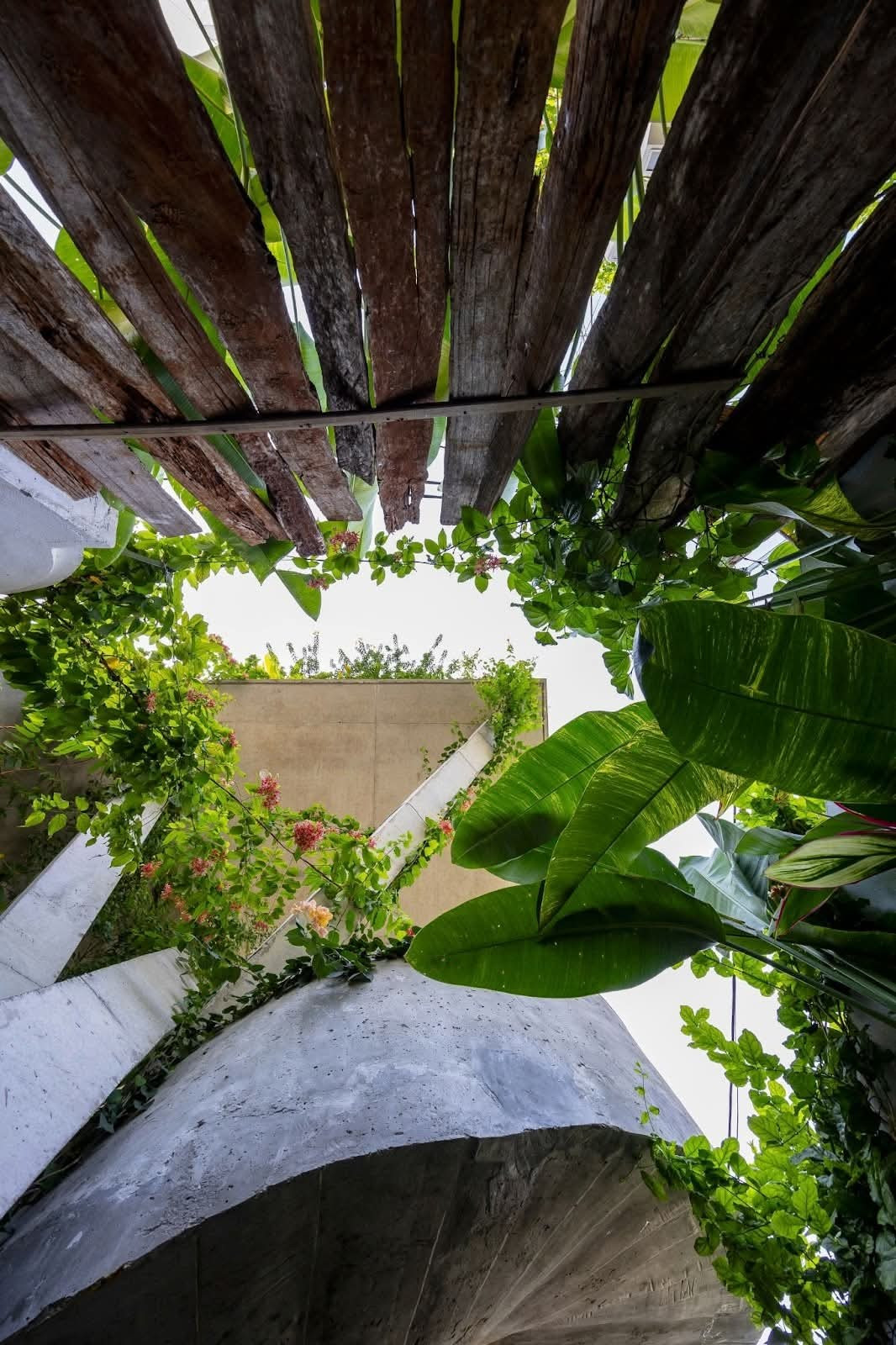 Nhà hình tổ chim: Không gian sống mềm mại giữa phố thị- Ảnh 3.