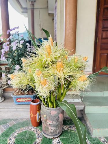 Chẳng cần đào mai tiền triệu, chị em rủ nhau cắm thứ "nhà quê" này: Đẹp sang chảnh, bày ban Thần Tài hút lộc, để 3 năm vẫn như mới!- Ảnh 5.