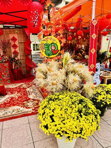 Chẳng cần đào mai tiền triệu, chị em rủ nhau cắm thứ "nhà quê" này: Đẹp sang chảnh, bày ban Thần Tài hút lộc, để 3 năm vẫn như mới!- Ảnh 11.