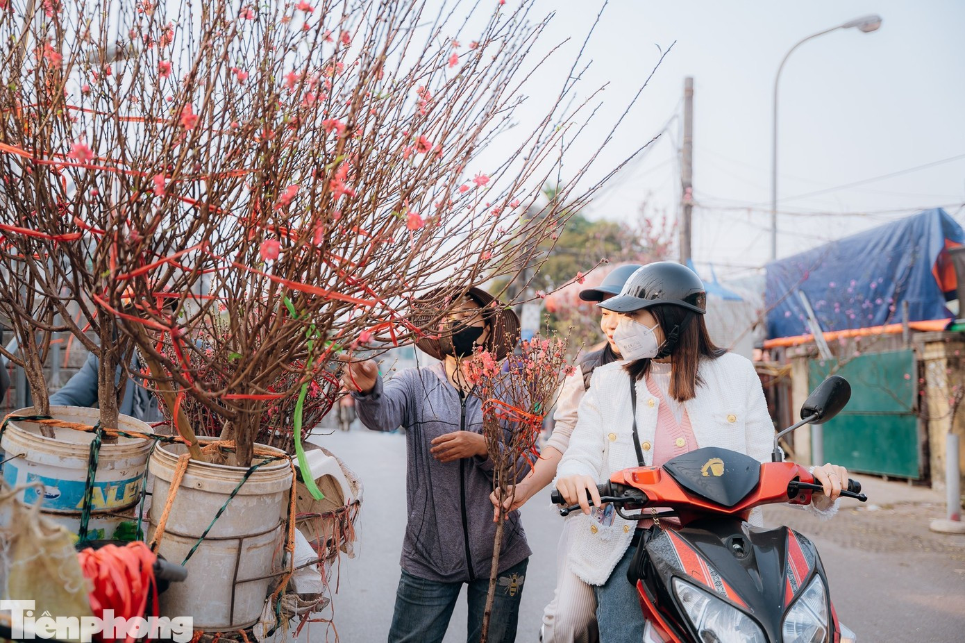 Miền Bắc nắng ấm trước khi chuyển mưa rét- Ảnh 1.