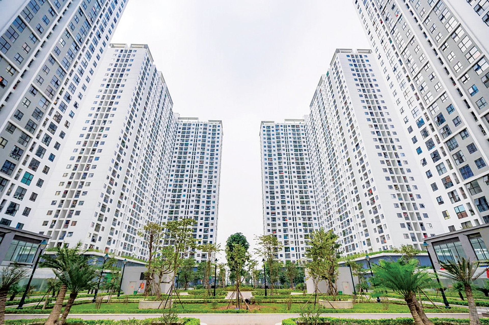 Nhà ở xã hội đón “mùa xuân an cư” - Khởi nguồn từ các quyết sách lớn- Ảnh 1.