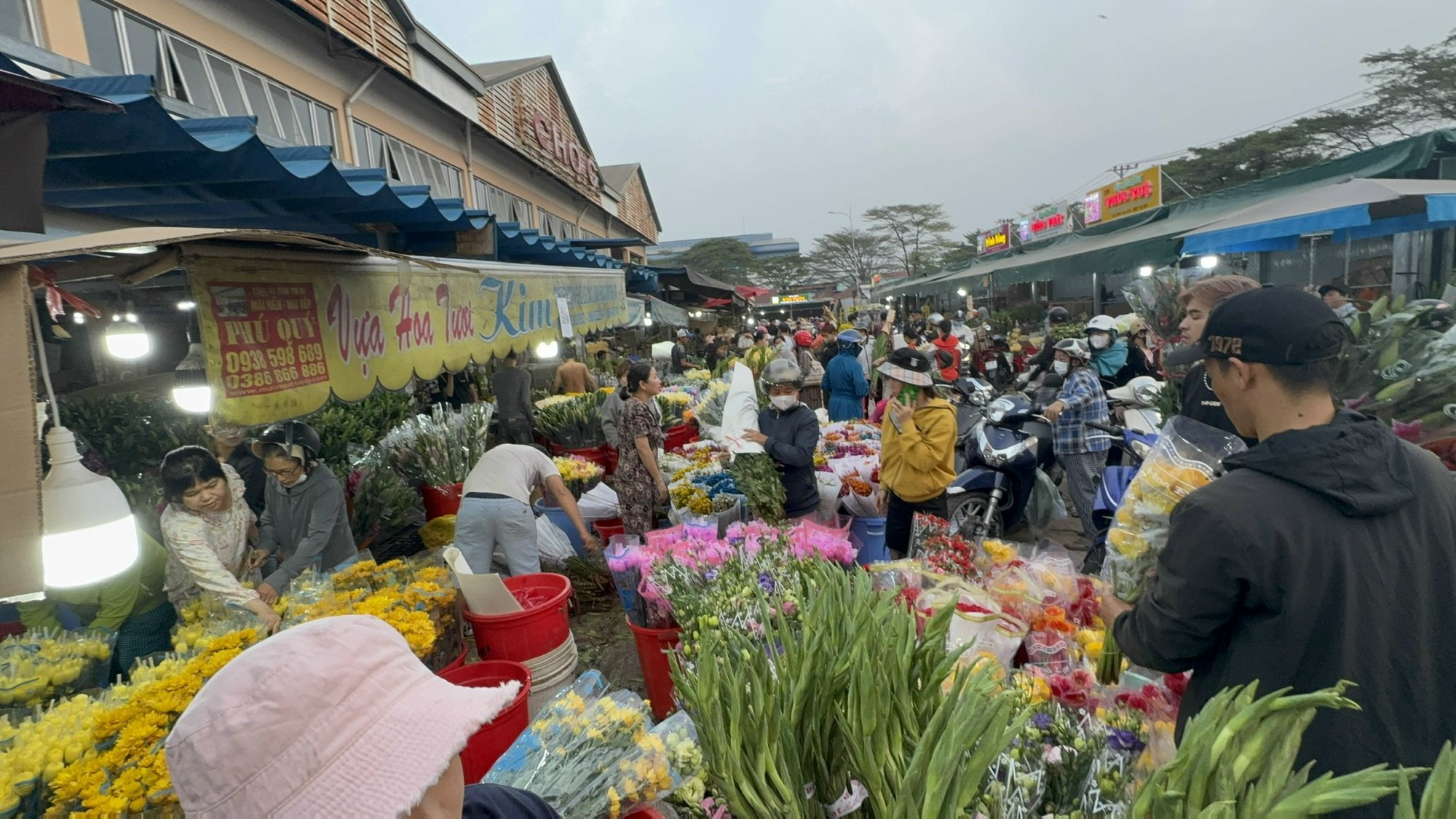 Thị trường hoa Tết 2026: Giá cả và xu hướng mua sắm tại chợ đầu mối - Ảnh 10.