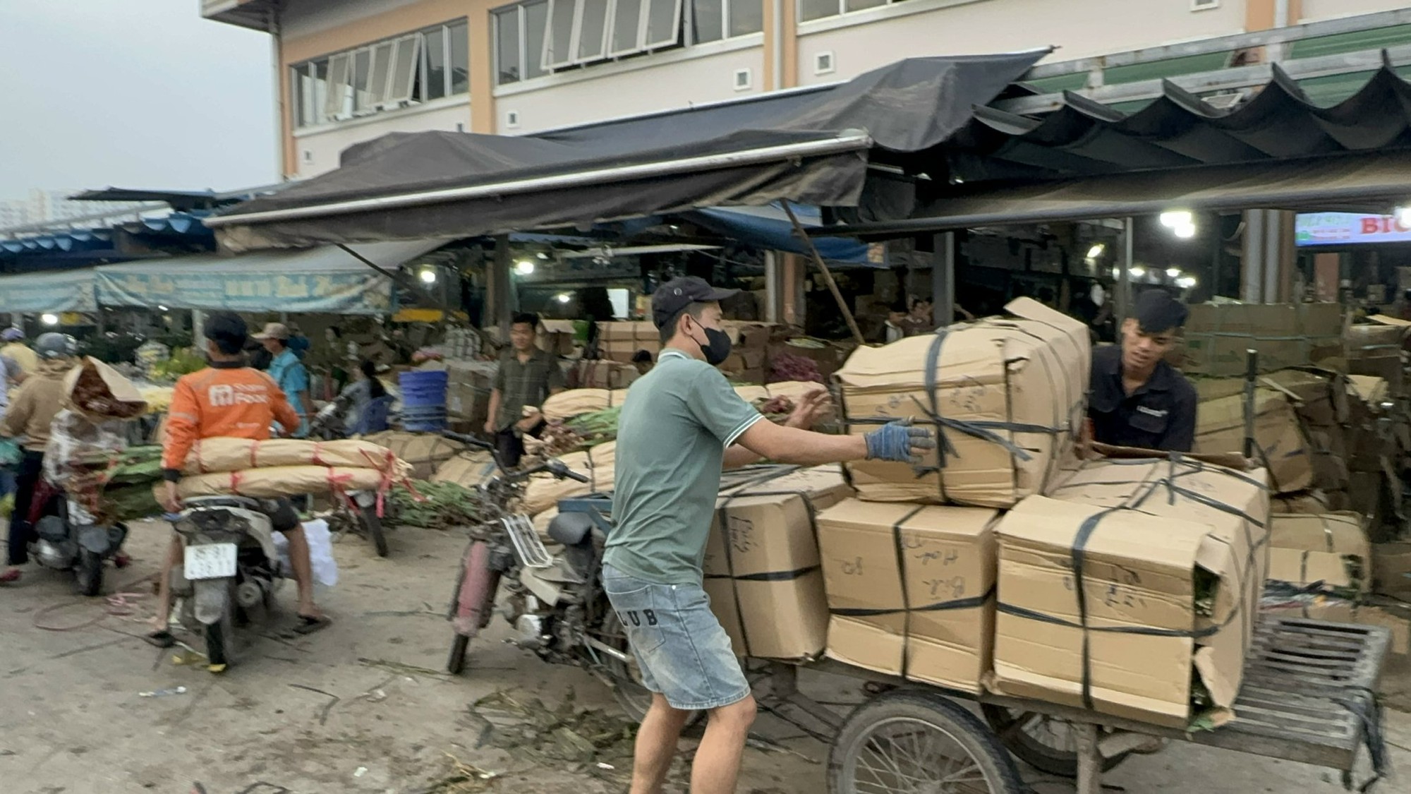 Thị trường hoa Tết 2026: Giá cả và xu hướng mua sắm tại chợ đầu mối - Ảnh 11.