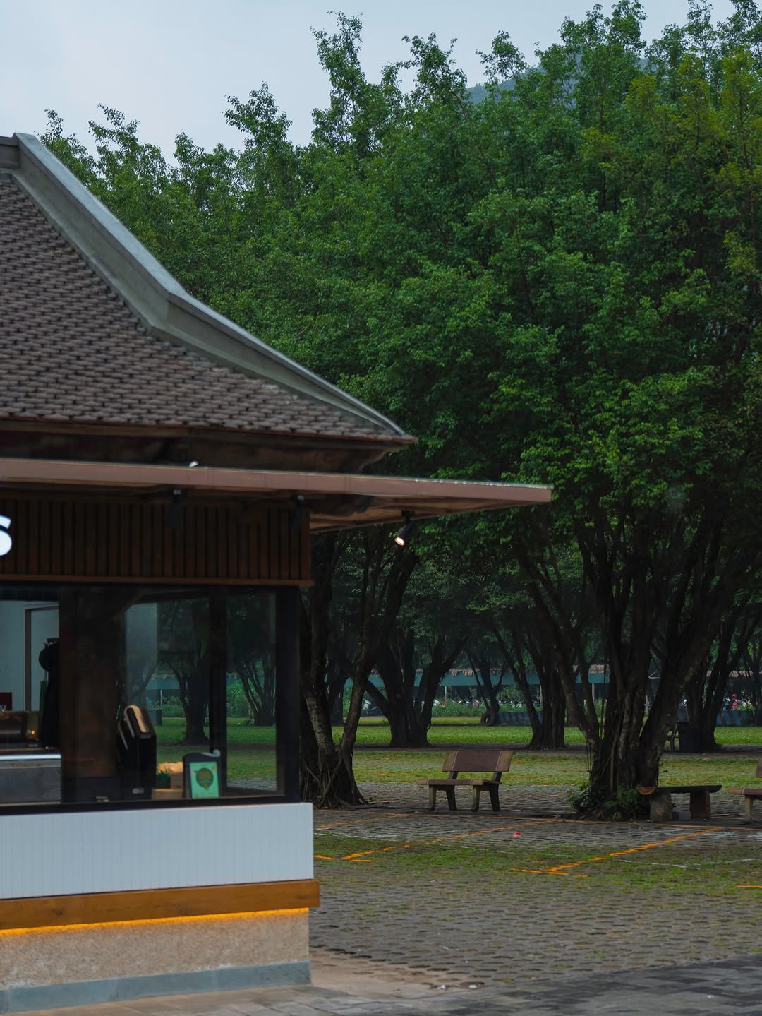 Đại chiến "view triệu đô" giữa lòng Tràng An: Highlands và Starbucks ai cũng đẹp nhưng chi tiết này mới quyết định kẻ thắng thế - Ảnh 2.