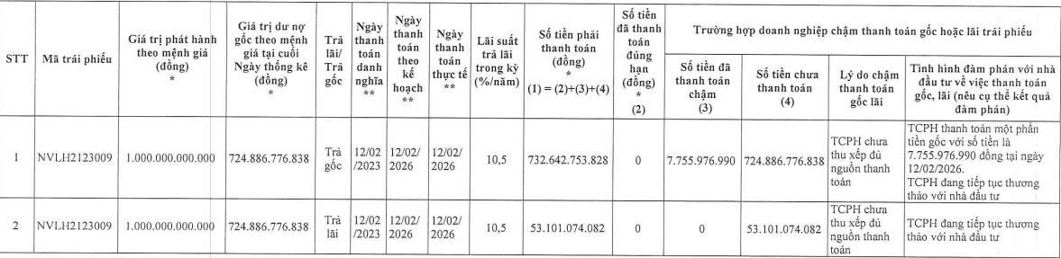 Novaland tiếp tục ‘khất nợ’ gốc, lãi trái phiếu - Ảnh 1.
