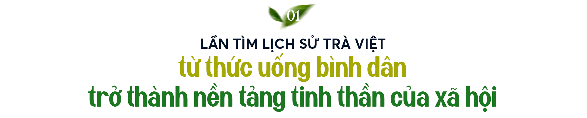 Hành trình định vị "Ngân hàng Trà": Từ văn hóa dân tộc đến khát vọng kiến tạo bản sắc doanh nghiệp - Ảnh 1.