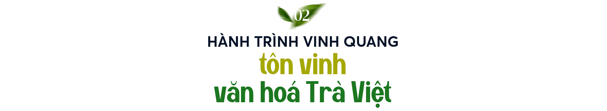 Hành trình định vị "Ngân hàng Trà": Từ văn hóa dân tộc đến khát vọng kiến tạo bản sắc doanh nghiệp - Ảnh 4.
