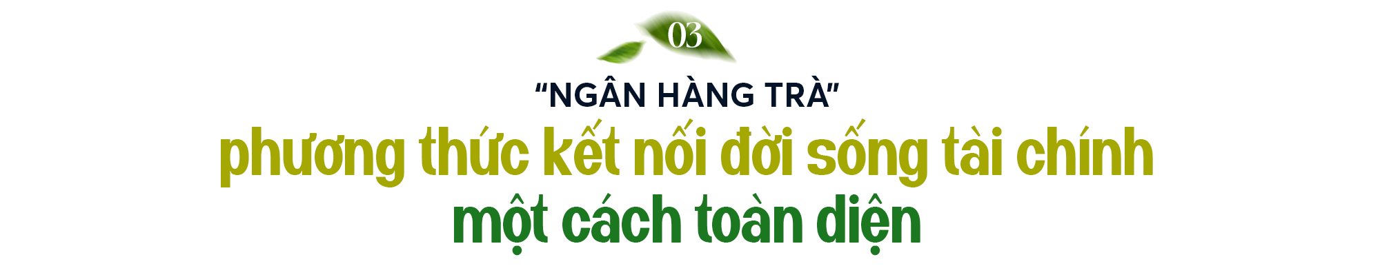 Hành trình định vị "Ngân hàng Trà": Từ văn hóa dân tộc đến khát vọng kiến tạo bản sắc doanh nghiệp - Ảnh 7.