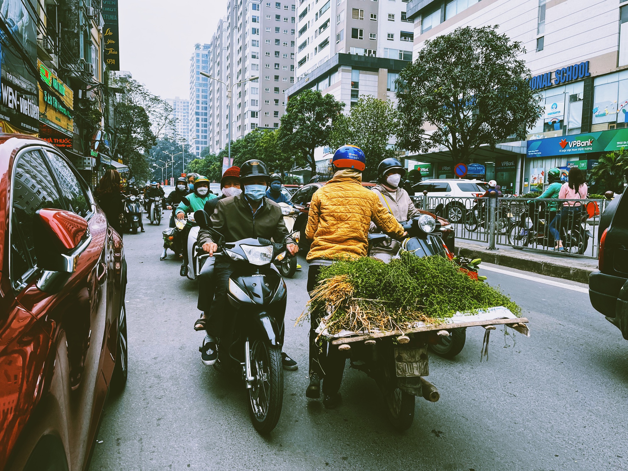 Không phải mai đào rực rỡ, đây mới là mùi hương "gây thương nhớ" nhất tháng Chạp, xoa dịu mọi giông bão năm cũ- Ảnh 4.