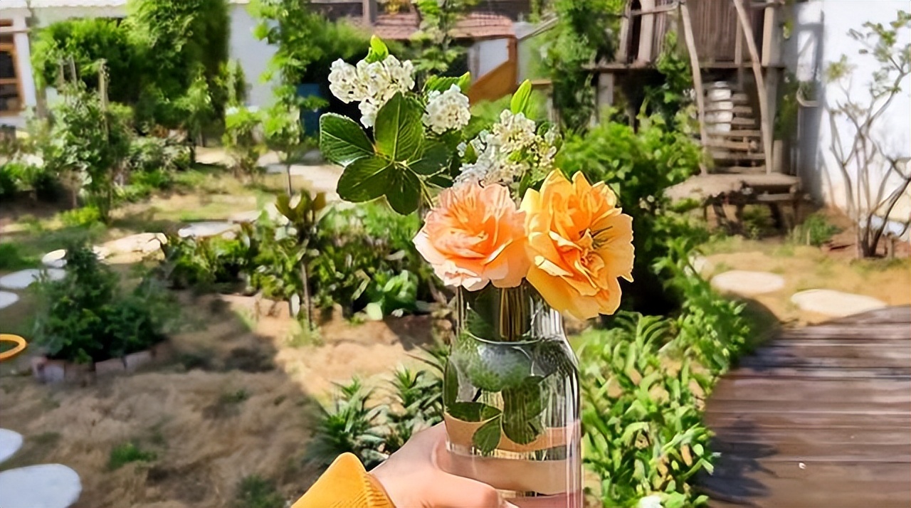 Không mua nhà thành phố, cặp vợ chồng 33 tuổi biến sân quê thành "phòng tắm nắng" và chọn một kiểu tự do tài chính khiến dân mạng tranh luận- Ảnh 17.