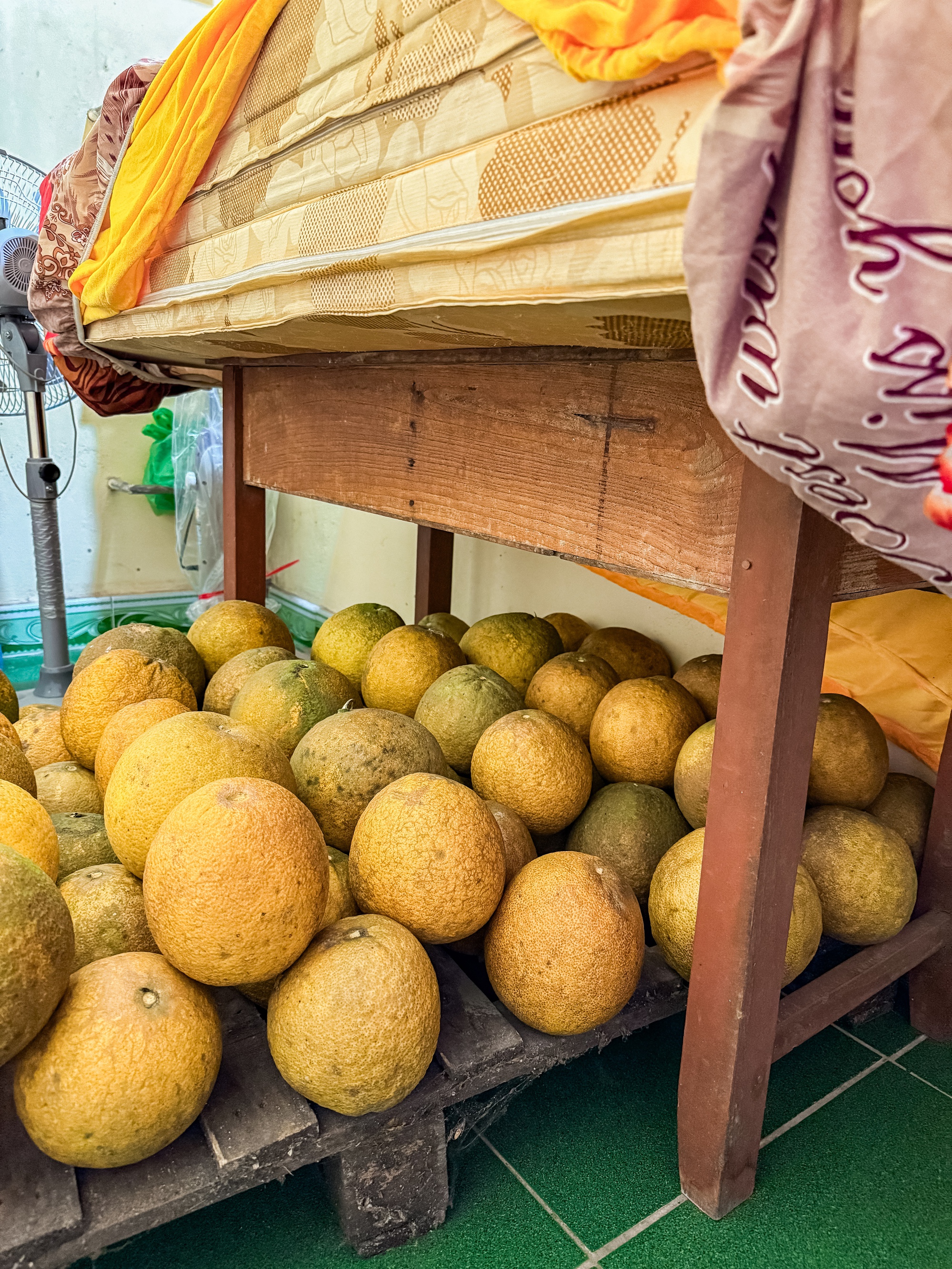 Cảnh tượng nhìn là biết Tết miền Bắc- Ảnh 1.