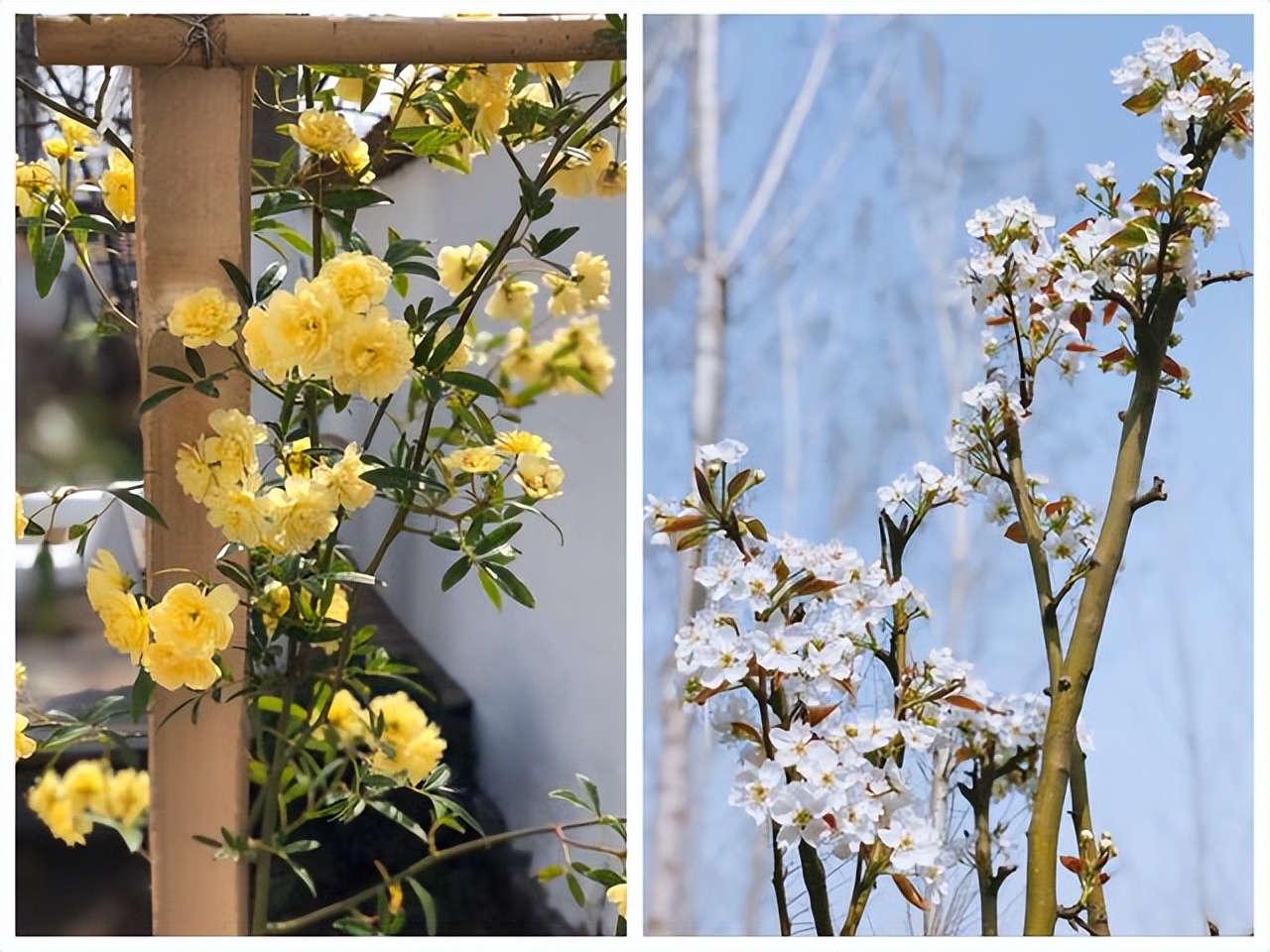 Không mua nhà thành phố, cặp vợ chồng 33 tuổi biến sân quê thành "phòng tắm nắng" và chọn một kiểu tự do tài chính khiến dân mạng tranh luận- Ảnh 12.