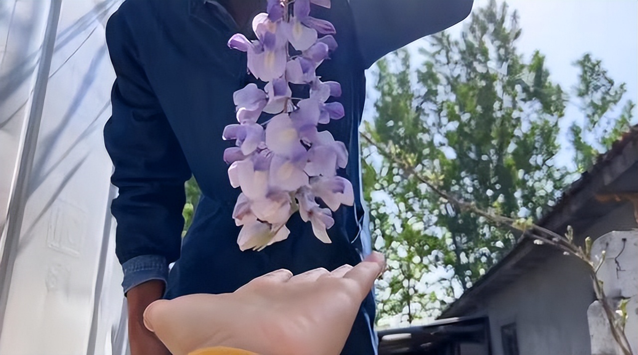 Không mua nhà thành phố, cặp vợ chồng 33 tuổi biến sân quê thành "phòng tắm nắng" và chọn một kiểu tự do tài chính khiến dân mạng tranh luận- Ảnh 16.