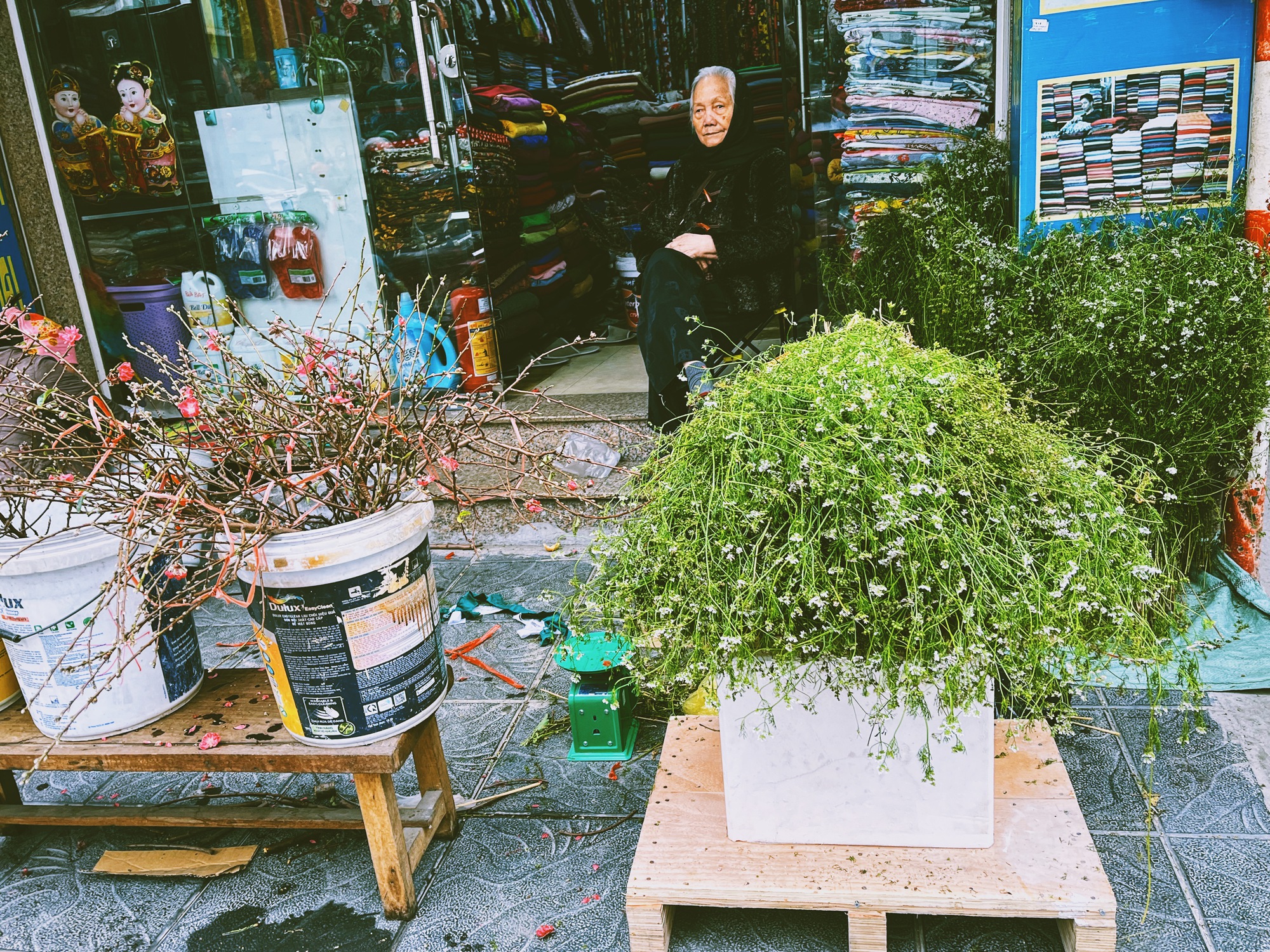 Không phải mai đào rực rỡ, đây mới là mùi hương "gây thương nhớ" nhất tháng Chạp, xoa dịu mọi giông bão năm cũ- Ảnh 1.