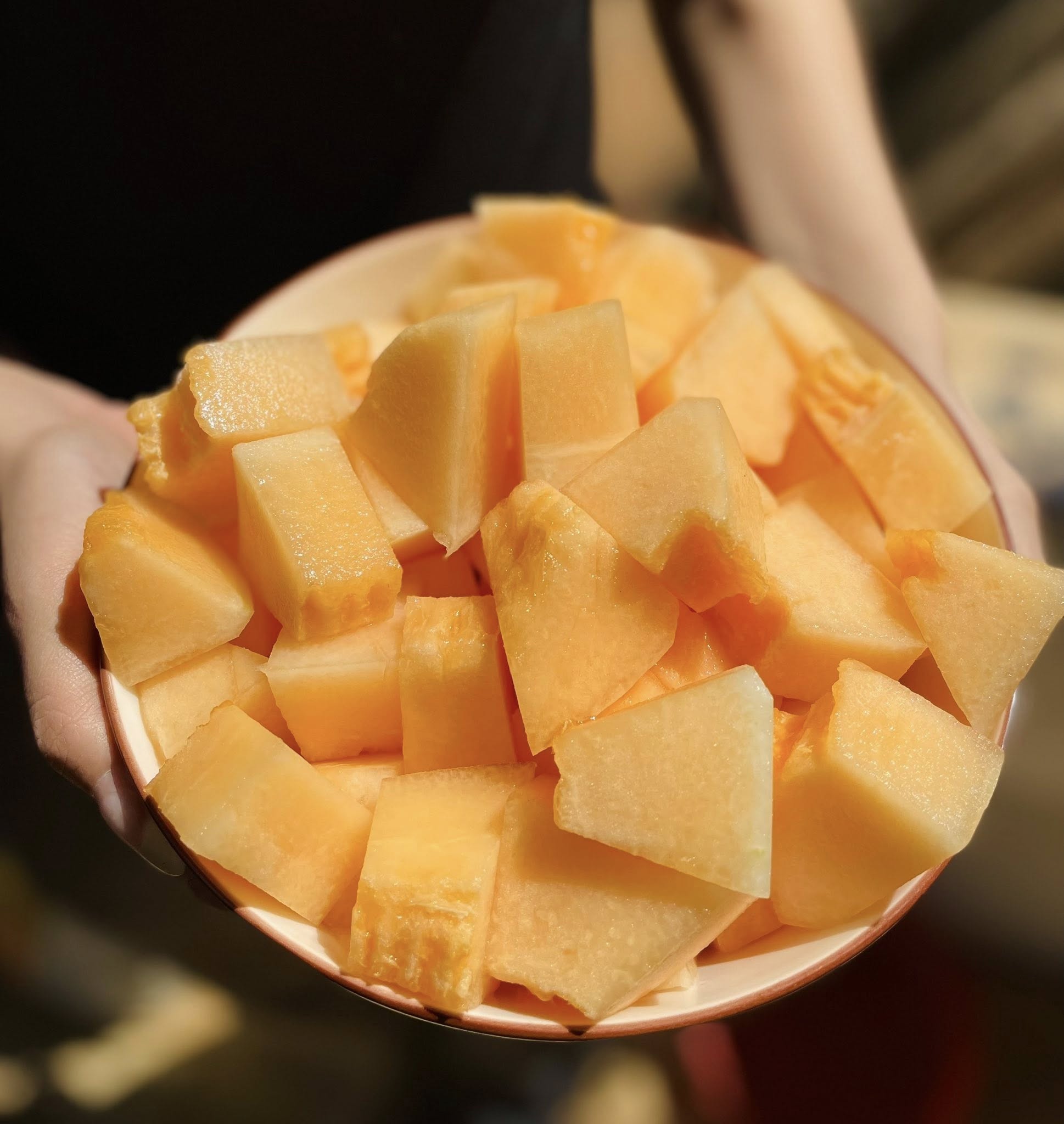 Nhà có em bé mê dưa, mẹ trồng hẳn vườn dưa mấy nghìn quả, ngắm cả khu vườn xanh mát khiến ai ghé cũng phải ngỡ ngàng- Ảnh 1.