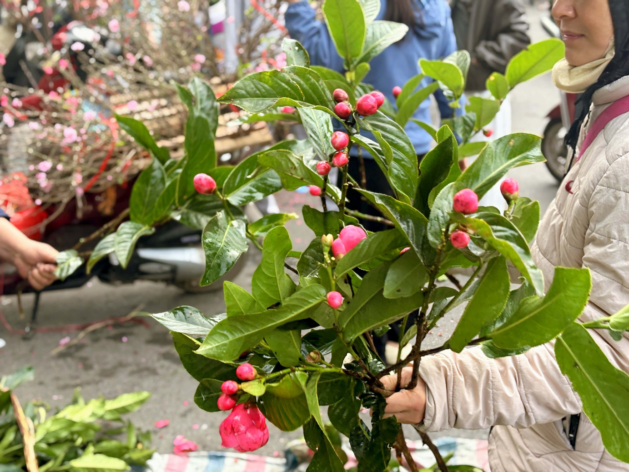 29 Tết: Không phải Hàng Bè, đây mới là nên cần đến nếu muốn tìm kiếm những nét truyền thống của Tết xưa- Ảnh 14.