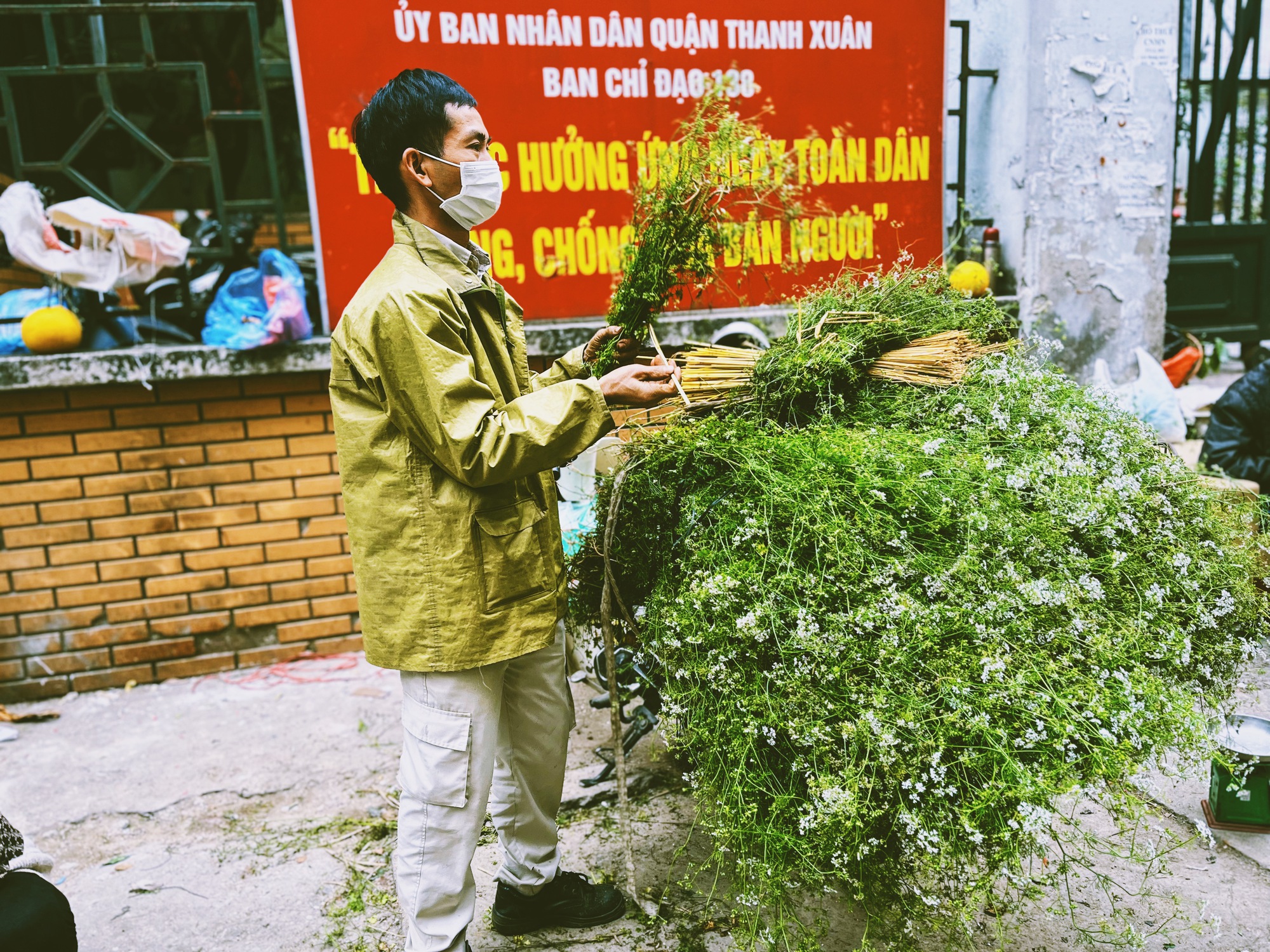 Không phải mai đào rực rỡ, đây mới là mùi hương "gây thương nhớ" nhất tháng Chạp, xoa dịu mọi giông bão năm cũ- Ảnh 6.