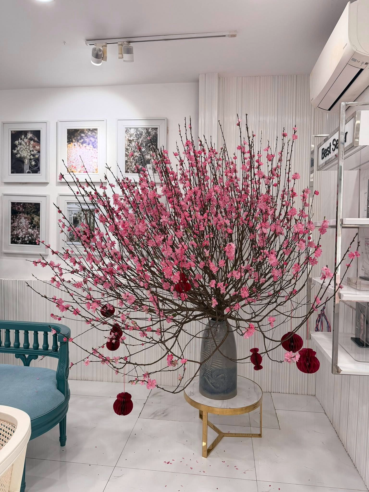 Tại sao ngày Tết người ta thường chưng hoa đào?- Ảnh 1. Tại sao ngày Tết người ta thường chưng hoa đào?- Ảnh 1.