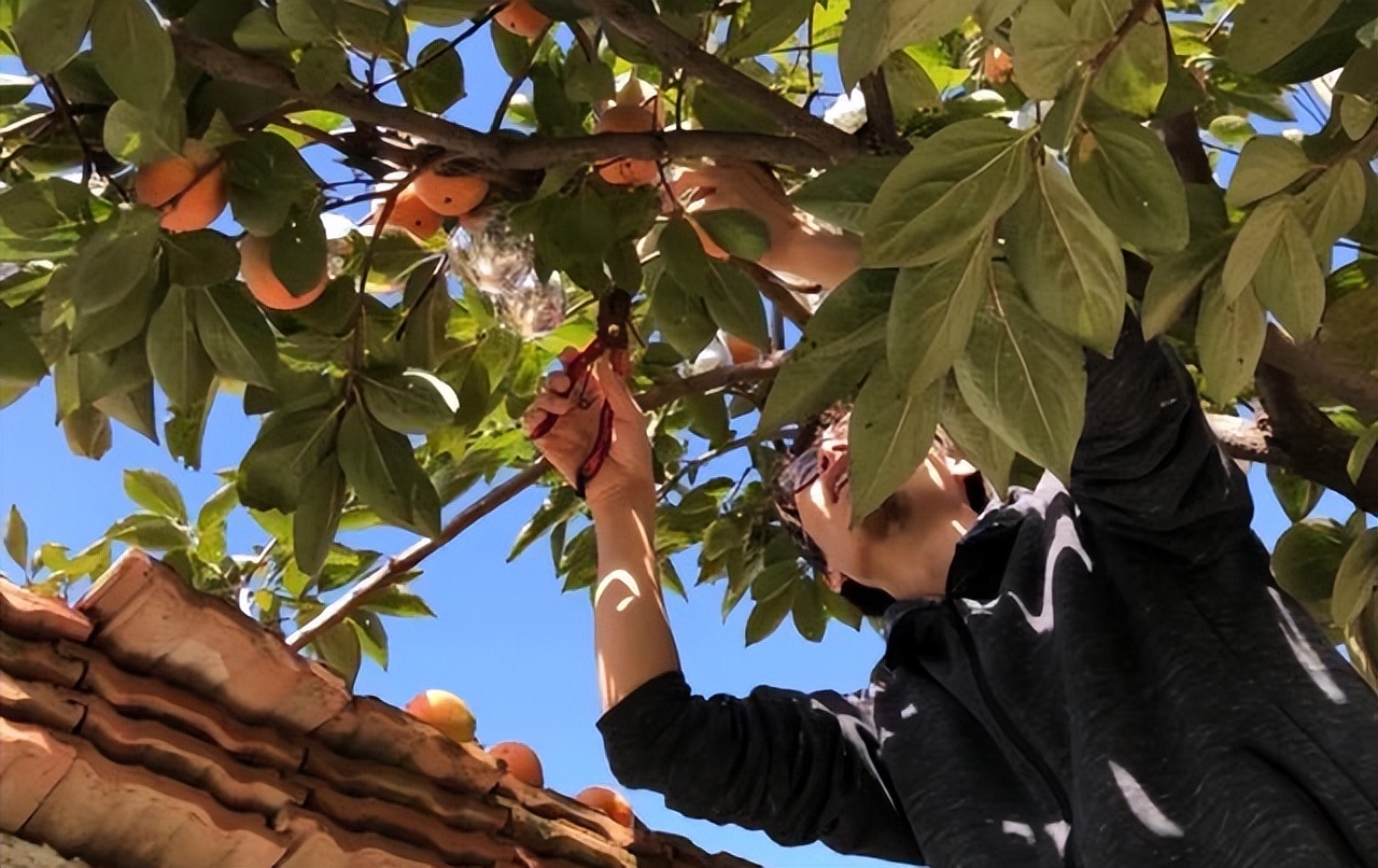 Không mua nhà thành phố, cặp vợ chồng 33 tuổi biến sân quê thành "phòng tắm nắng" và chọn một kiểu tự do tài chính khiến dân mạng tranh luận- Ảnh 7.