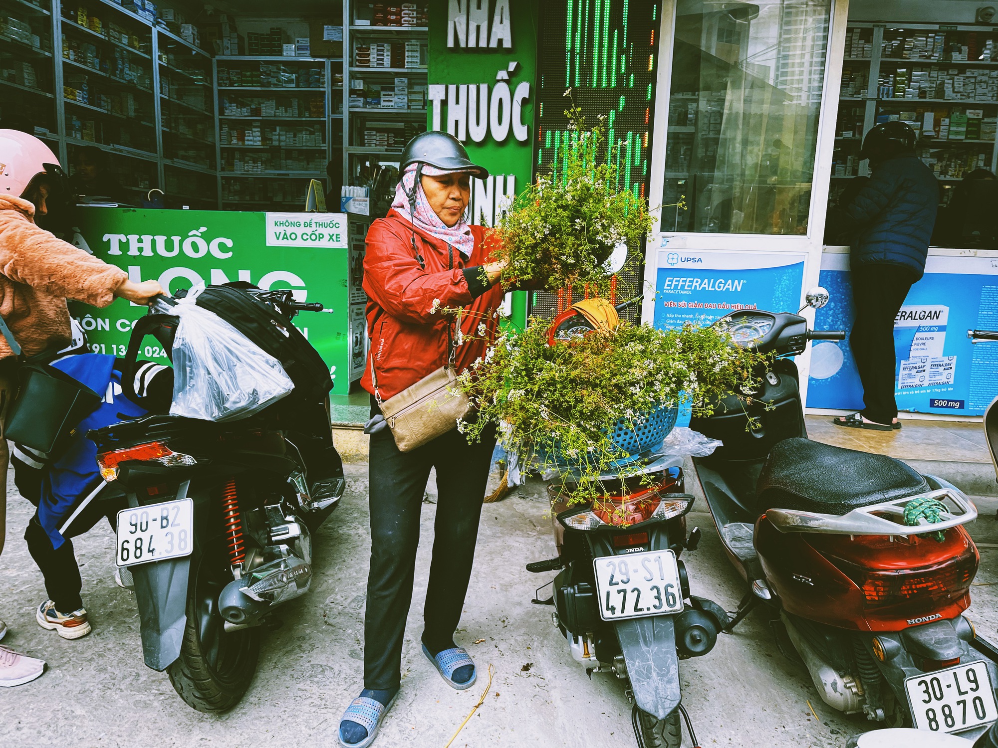 Không phải mai đào rực rỡ, đây mới là mùi hương "gây thương nhớ" nhất tháng Chạp, xoa dịu mọi giông bão năm cũ- Ảnh 3.