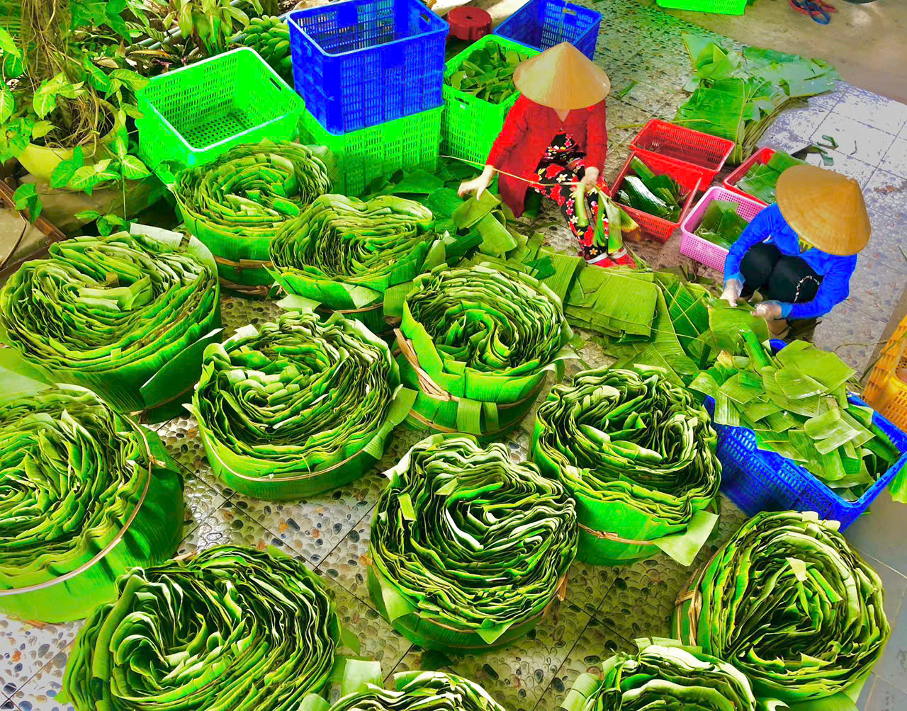 “Vương quốc” nem Lai Vung chạy đua với Tết- Ảnh 10.