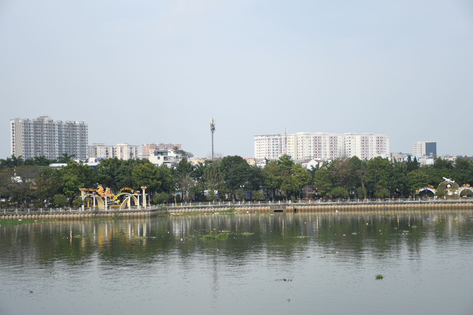 Cận cảnh đường hoa ven sông Đồng Nai 'vạn người mê' - Ảnh 3.