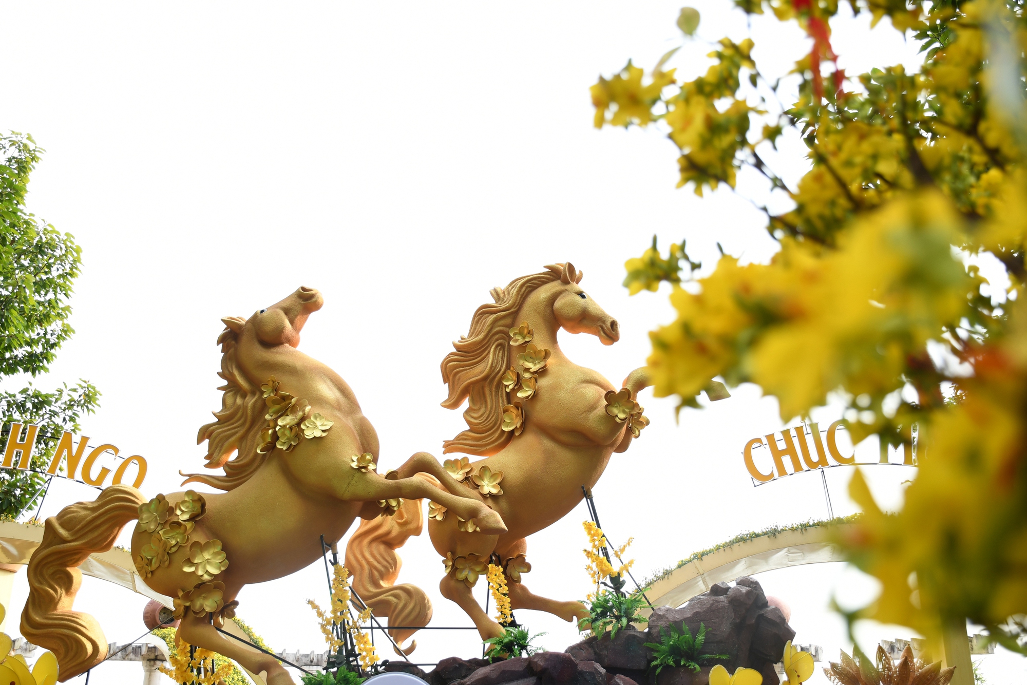 Cận cảnh đường hoa ven sông Đồng Nai 'vạn người mê' - Ảnh 4.