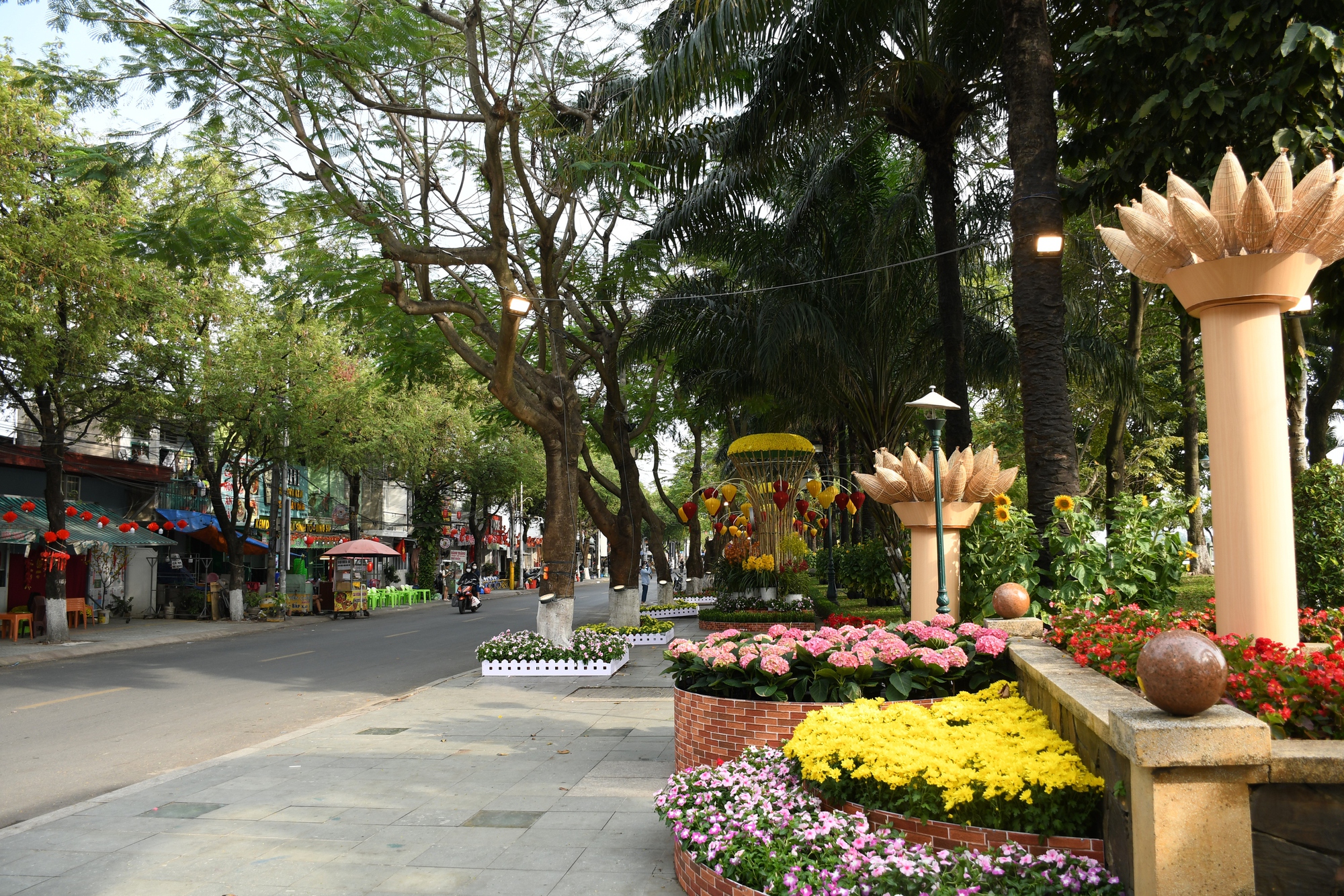 Cận cảnh đường hoa ven sông Đồng Nai 'vạn người mê' - Ảnh 5.