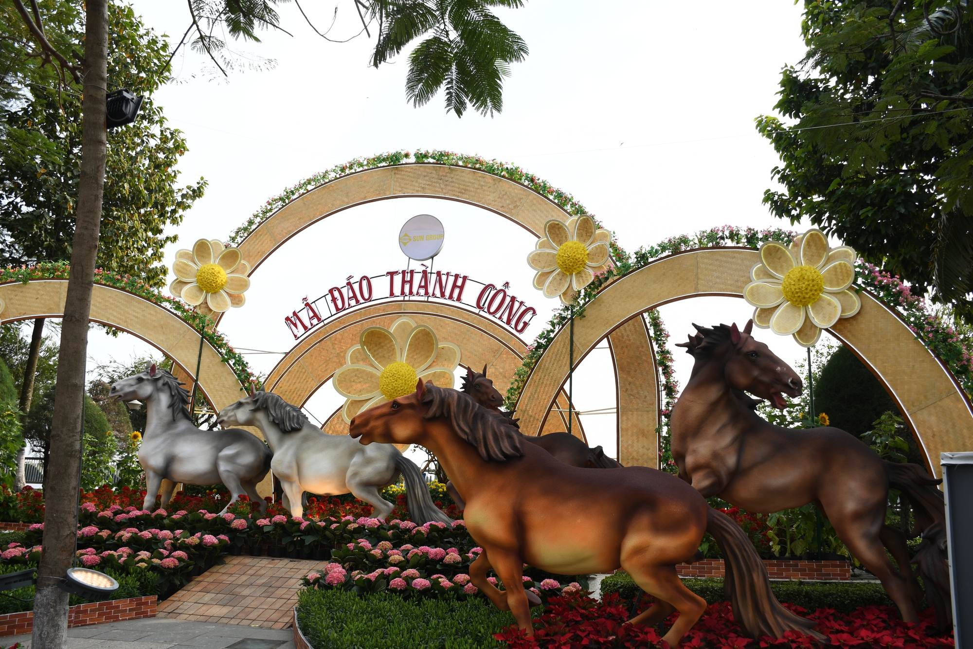 Cận cảnh đường hoa ven sông Đồng Nai 'vạn người mê' - Ảnh 14.